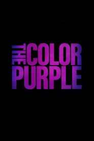 Kolor Purpury (2023) Obejrzyj Cały Film Online Już Dzisiaj!
