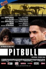 Pitbull 1 Cały Film (2005) – Obejrzyj Online Legalnie – CDA
