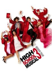High School Musical 3 Ostatnia klasa Cały Film 2008 – Obejrzyj Online – Dubbing i Lektor CDA