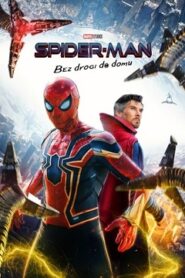 Spider-Man: Bez Drogi do Domu Cały Film 2021 – Obejrzyj Online – Dubbing i Lektor CDA