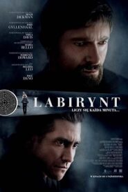 Labirynt Cały Film [2013] Obejrzyj Online Już Teraz!