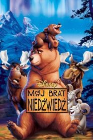 Mój Brat Niedźwiedź 1 Cały Film [2003] Gdzie Oglądać Online?