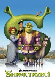 Shrek 3 Cały Film • Obejrzyj Online z Dubbingiem • Lektor CDA (2007)
