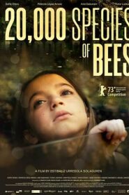 20 000 Gatunków Pszczół Cały Film [2023] Obejrzyj Online w Sieci!