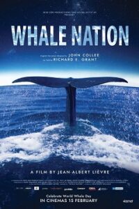 Pieśni Wielorybów Cały Film (2023) Gdzie Oglądać Online?