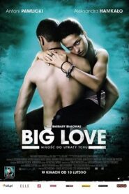 Big Love Cały Film (2012) Gdzie Obejrzeć Online Legalnie?