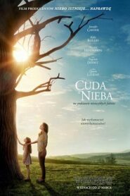 Cuda z Nieba (2016) Oglądaj Cały Film Online po Polsku!